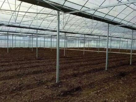 Greenhouses Implementedby Egyptian
