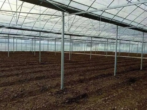 Greenhouses Implementedby Egyptian