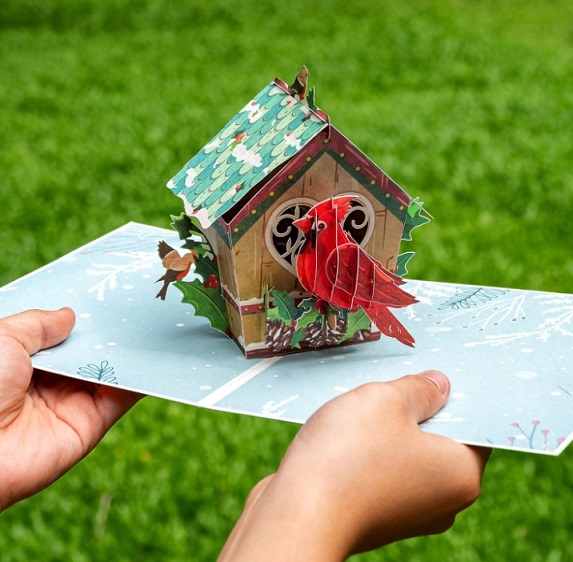 Love Bird House Christmas Card Pop Up
