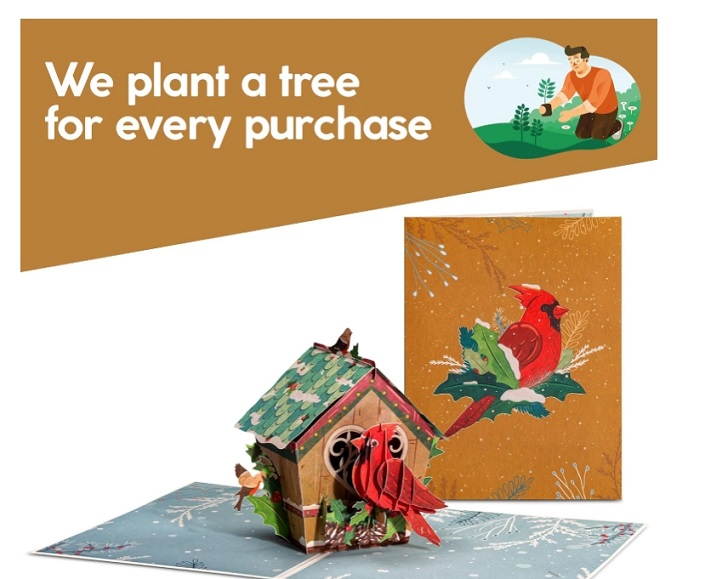 Love Bird House Christmas Card Pop Up