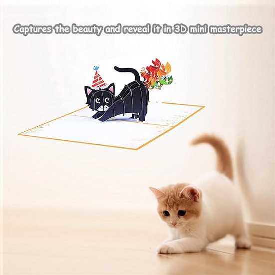 Encouragement Cards with Black Cat for Get Well Thank You Anniversary