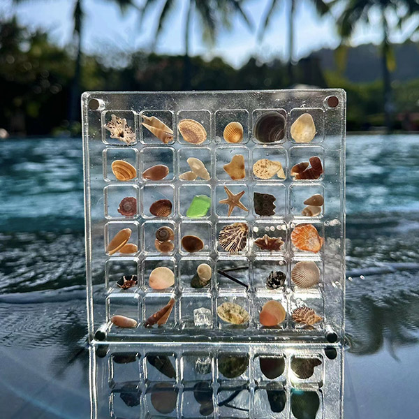 Acrylic Square Clear Shell Storage Box - Mini Specimen Display