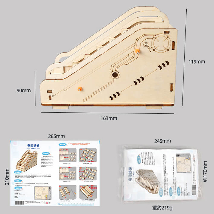 Electric Escalator DIY Science Toy - Kids Educational Craft Kit (B2B)