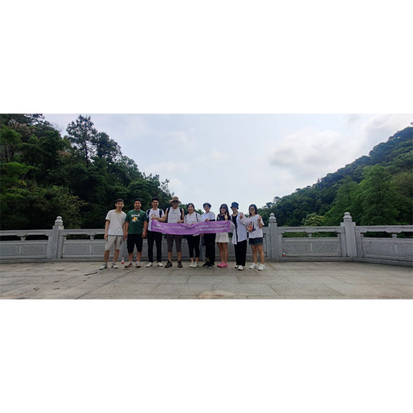 Wisedent Team building activities