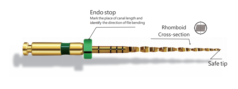 Endo files