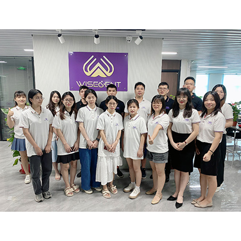 Wisedent showing video