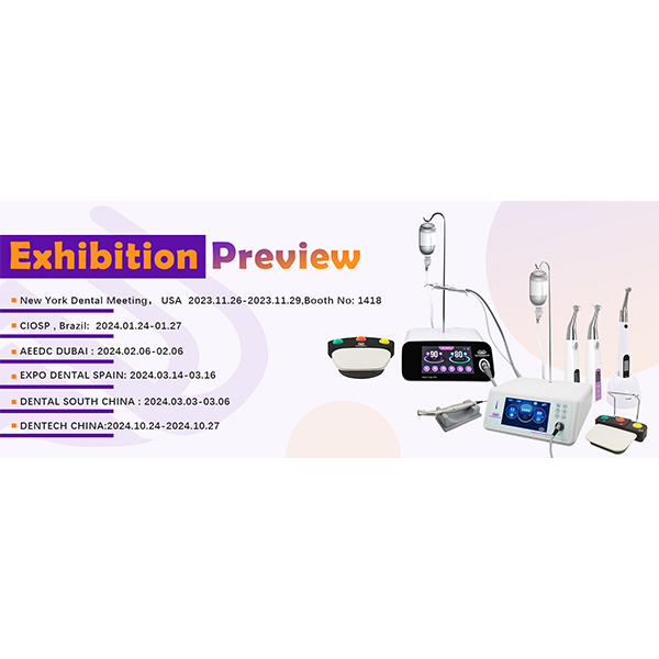 Exhibition Preview 2024