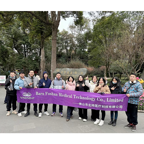 Finding Unity and Renewal: Our Team Building Trip in Chengdu