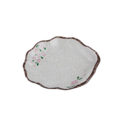 캐주얼한 소박한 멜라닌 접시와 그릇