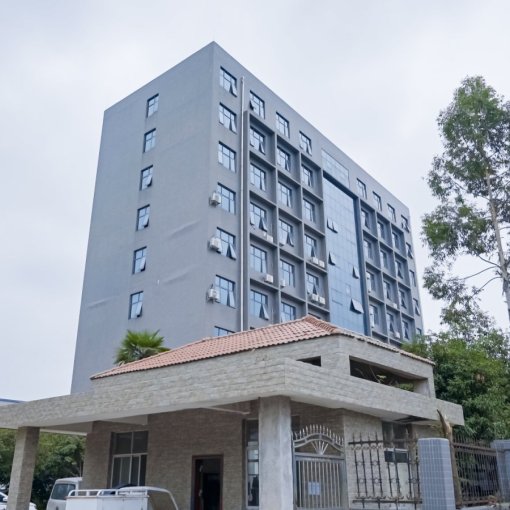 Dongxin Chemicals: Dentro del centro de producción de vajillas de melamina de última generación