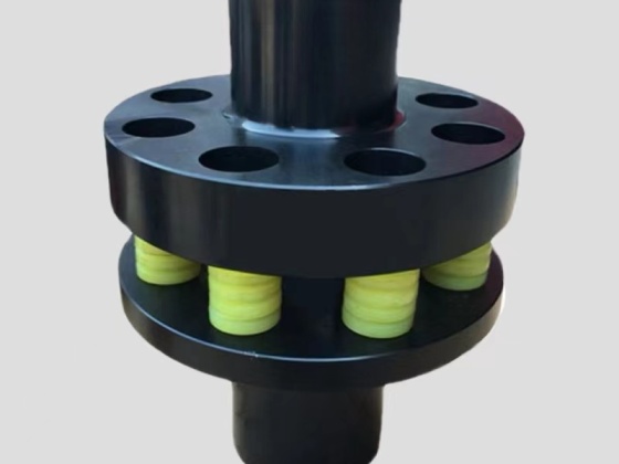 Giunto elastico a perno