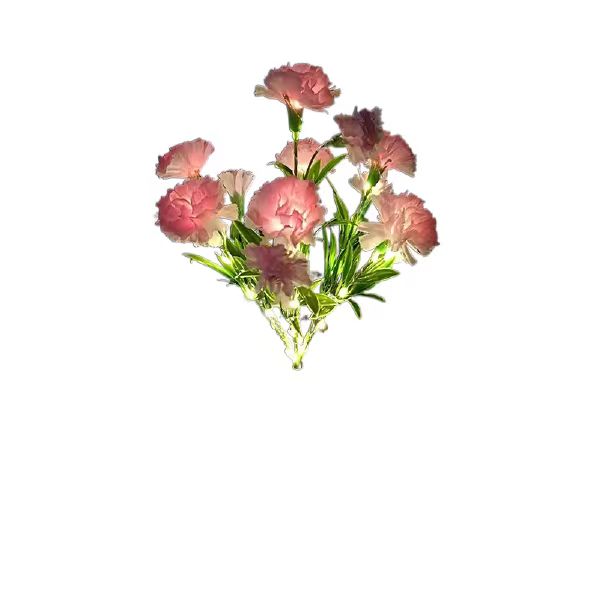 أضواء قاد للحديقة