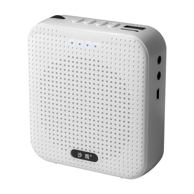 Mini Portable Voice Amplifier
