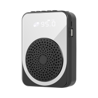 वायरलेस टीचर्स क्लासरूम वॉयस एम्प्लीफायर