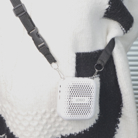 ミニマイクツアーガイド音声アンプ