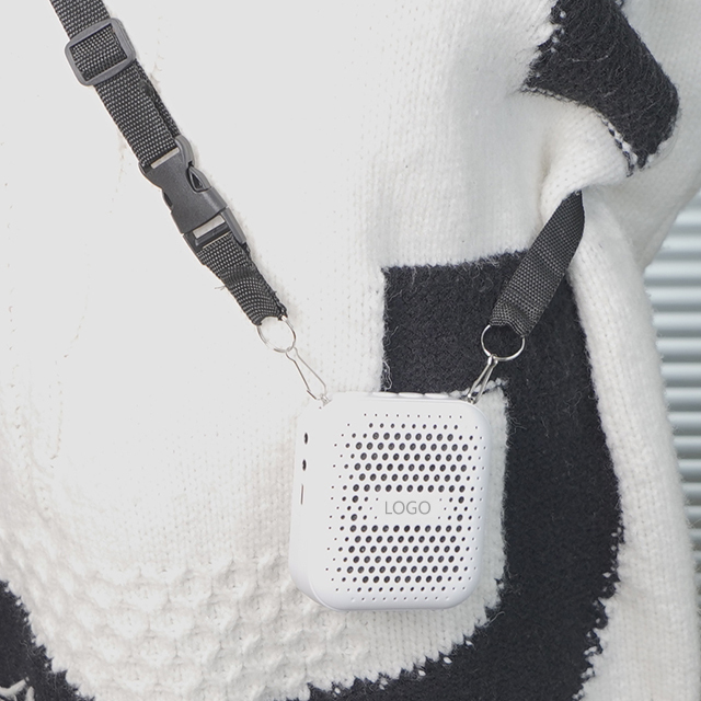 ミニマイクツアーガイド音声アンプ