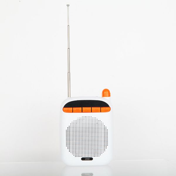 Mini Voice Amplifier Portable