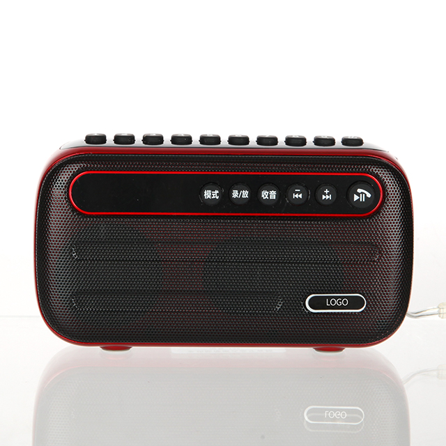 Mini Portable Speaker With Fm Radio