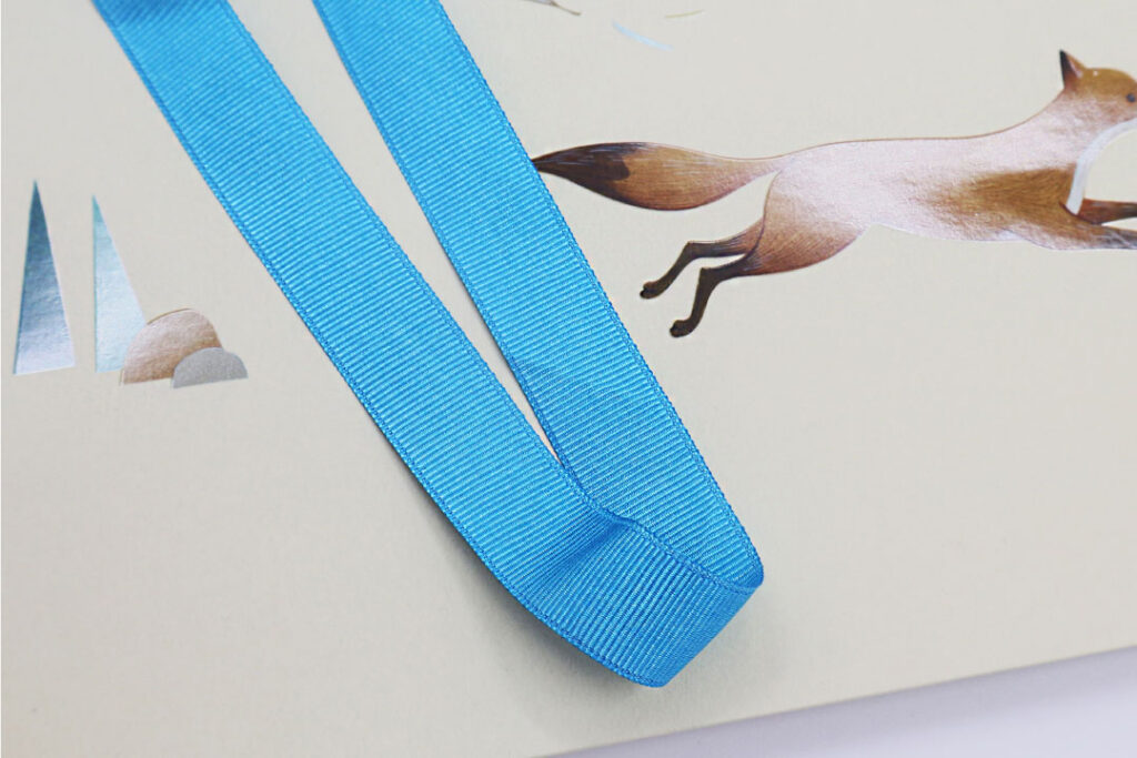 luxury gift bags with ribbon