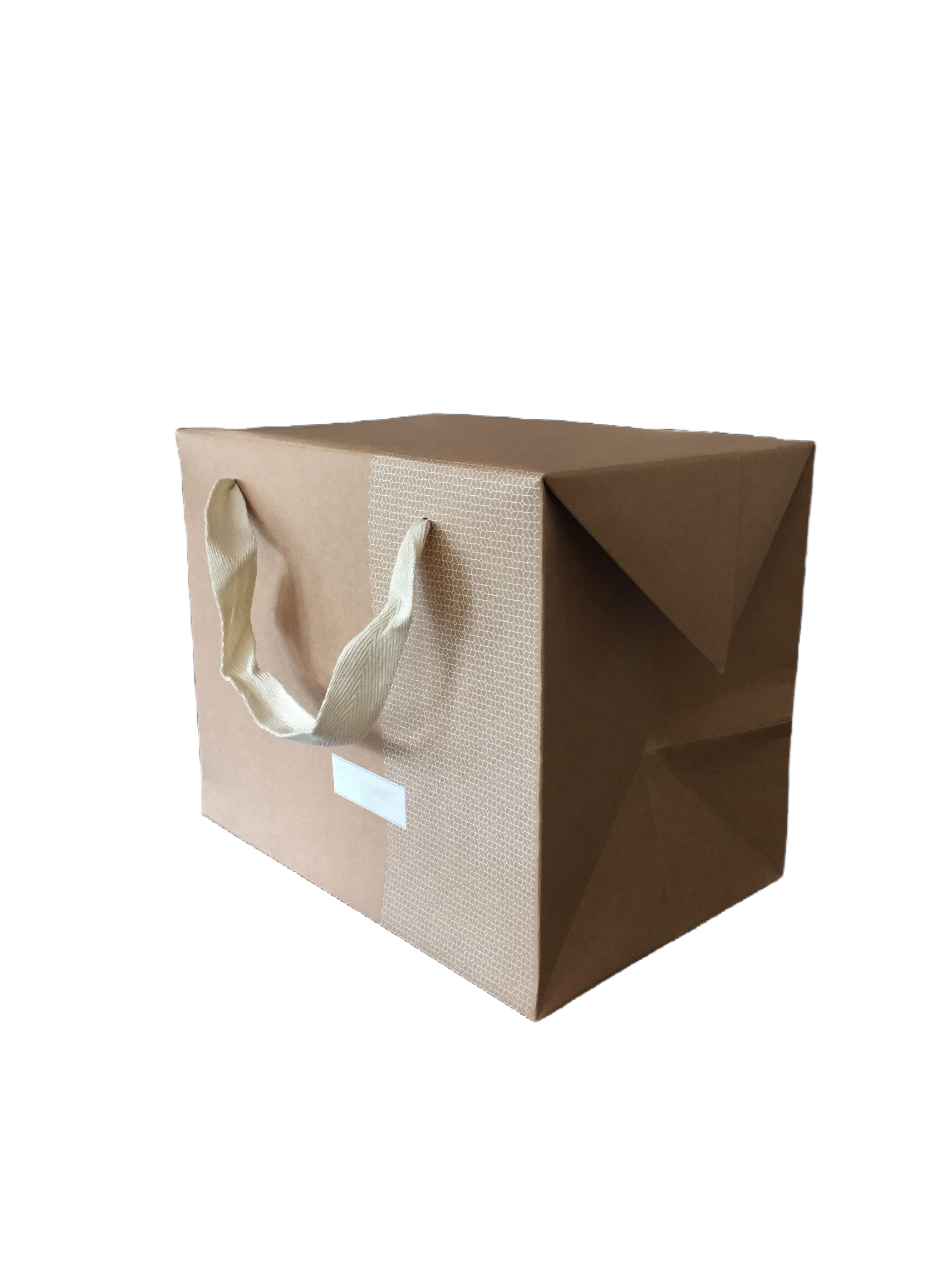 paper lunch bags