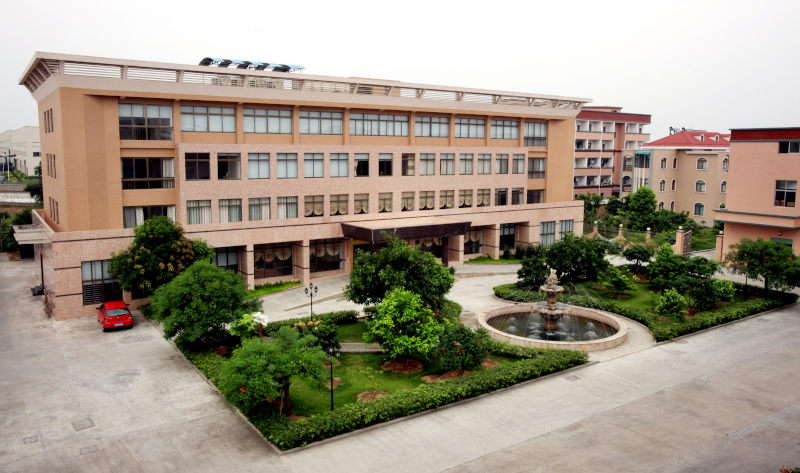 Social welfare activities