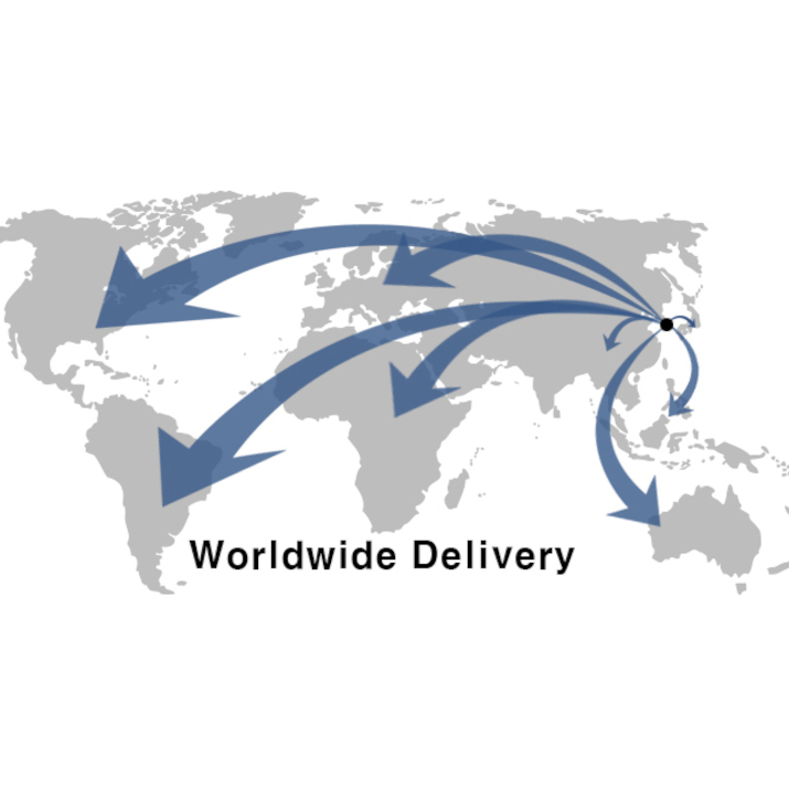 Worldwide Delivery Service