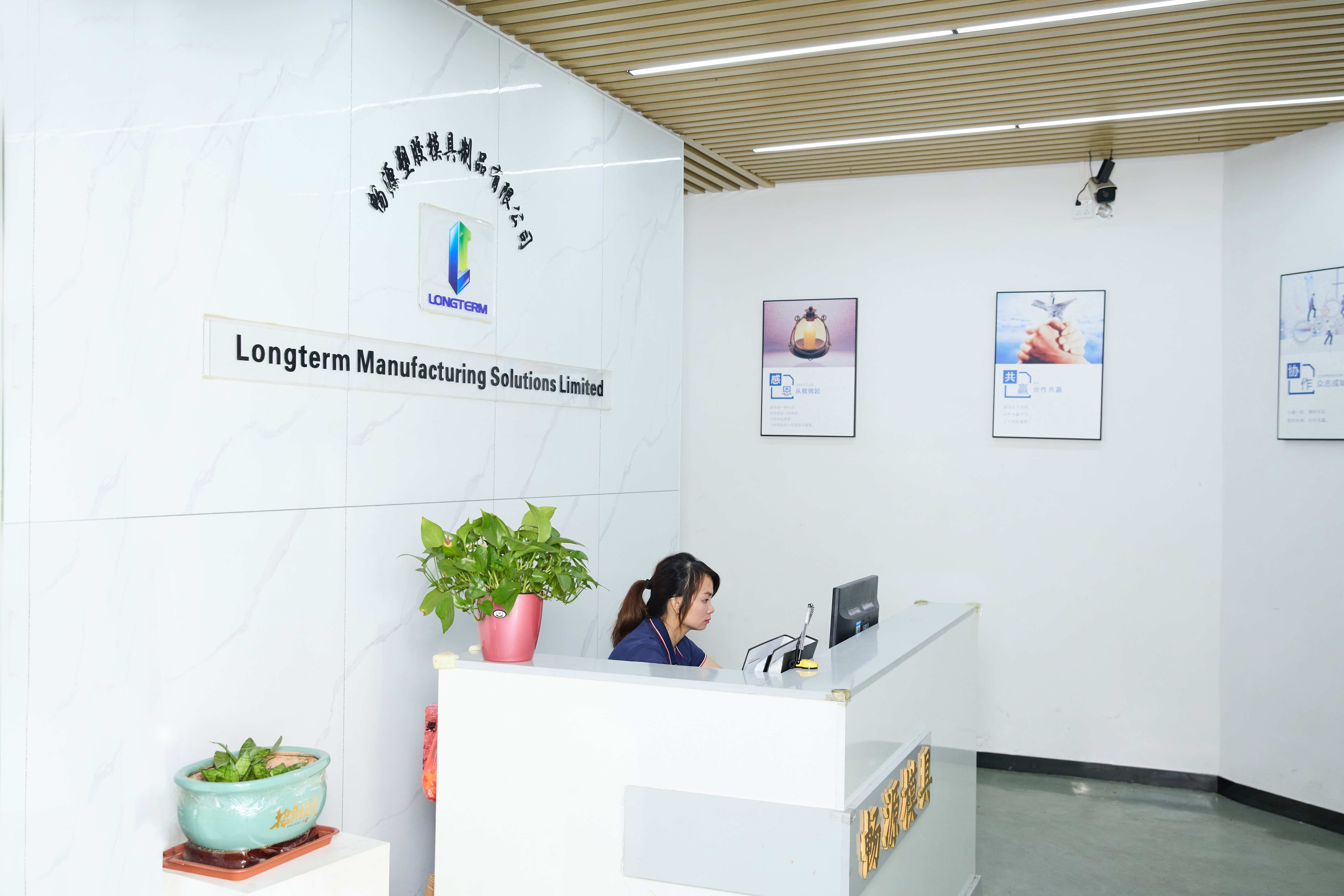 LONGTERM MOLD LONGTERM MOLD