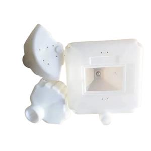 Exploring Diverse Mold Types and Their Impact Exploring Diverse Mold Types and Their Impact