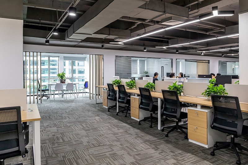 Company Office Environment