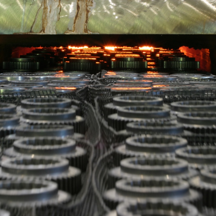 Mesh belt furnace for annealing