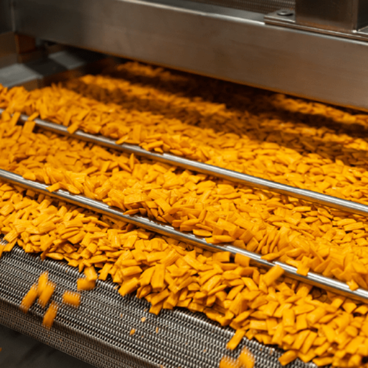 Mesh belt furnace for food drying