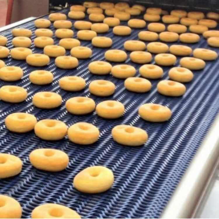 Mesh belt furnace for food drying