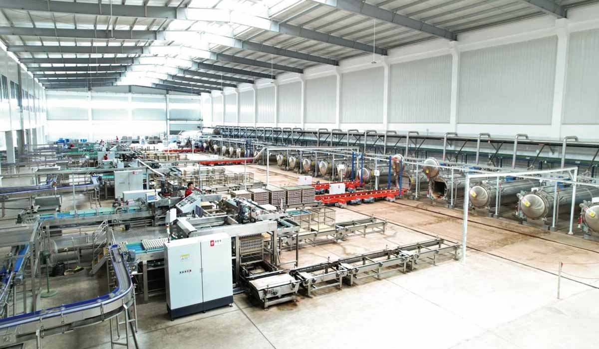 Linea di produzione di sterilizzazione in scatola personalizzata