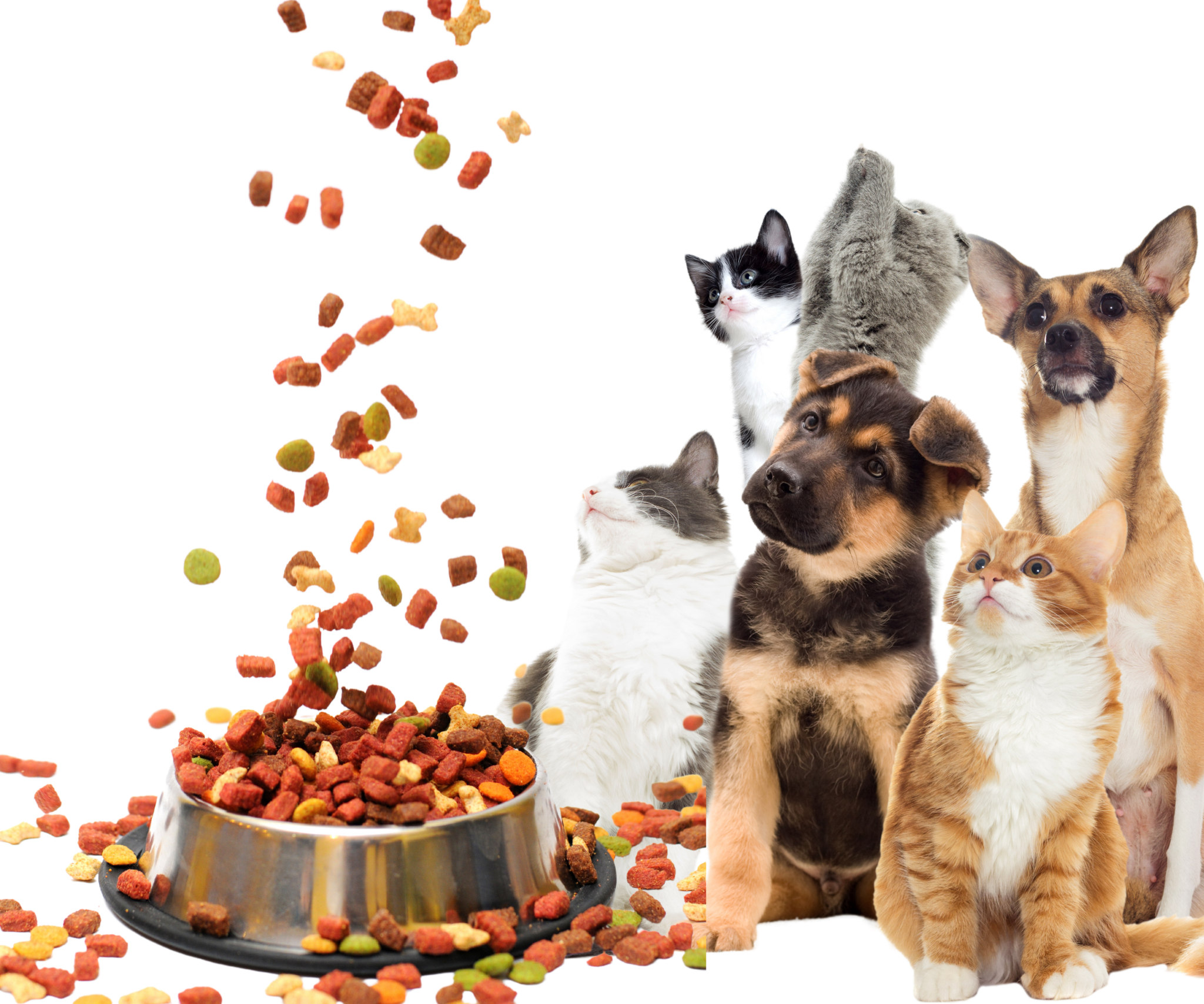 Commercial Sterilization