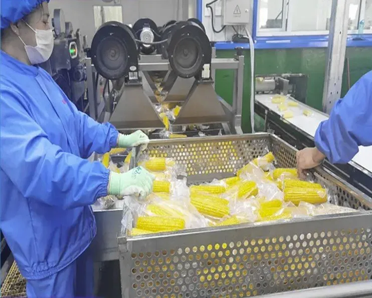 retort pouch machine