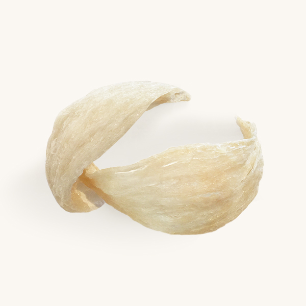 Bird's Nest Sterilization Bird's Nest Sterilization