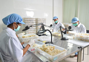 retort canning machine retort canning machine