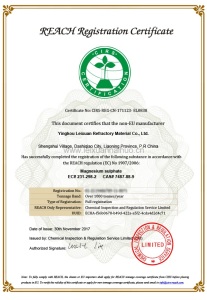 REACH Registration Certificate
