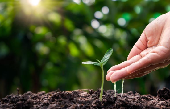 Environmental Protection