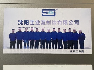 Highly Qualified Team