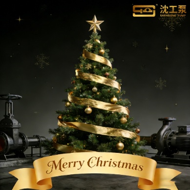 Shenyang Industrial Pumps: Christmas Greetings & Empowering Pump Upgrading in Power and Petrochemical Sectors