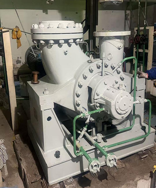 Team Delivers Efficient Pump Replacement Project at Huadian Qudong Power Plant