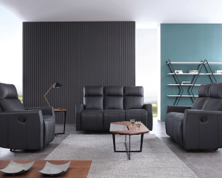 Contemporary Leather Electric Recliner