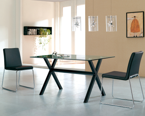 Modern Rectangular Glass Dining Table