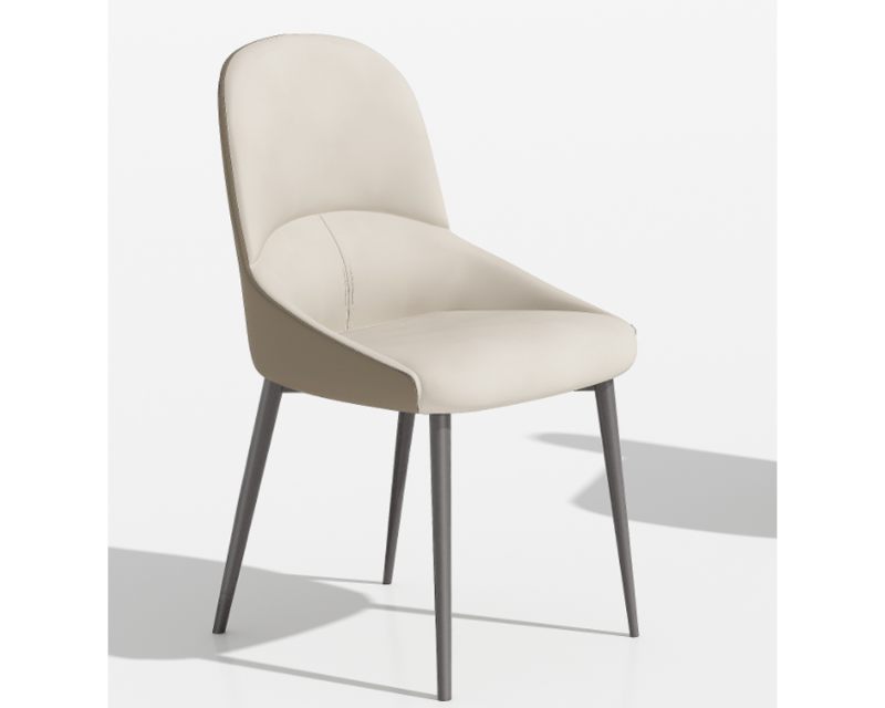 Effortless Sophistication Minimalist Metal Dining Chair