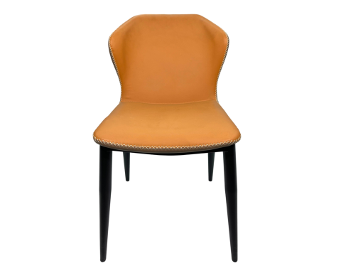 Sleek & Modern Design Minimalist Armless Metal Frame Dining Chair