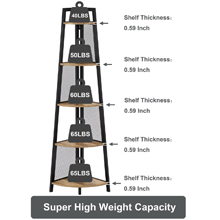 industrial ladder shelf