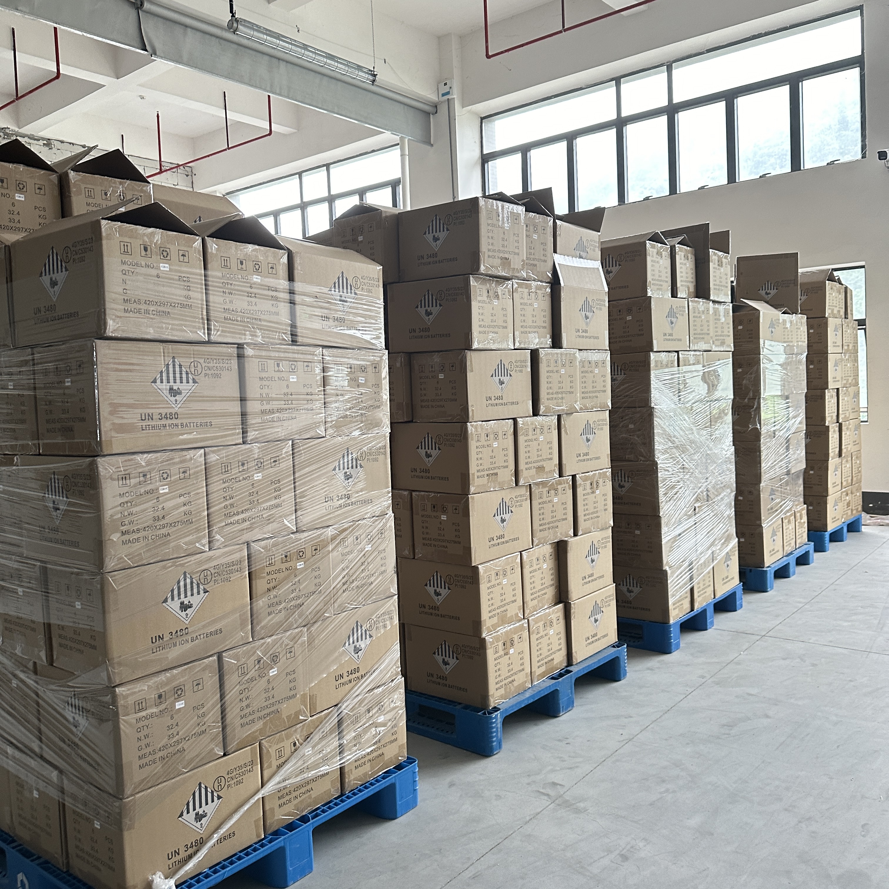 Professional Package