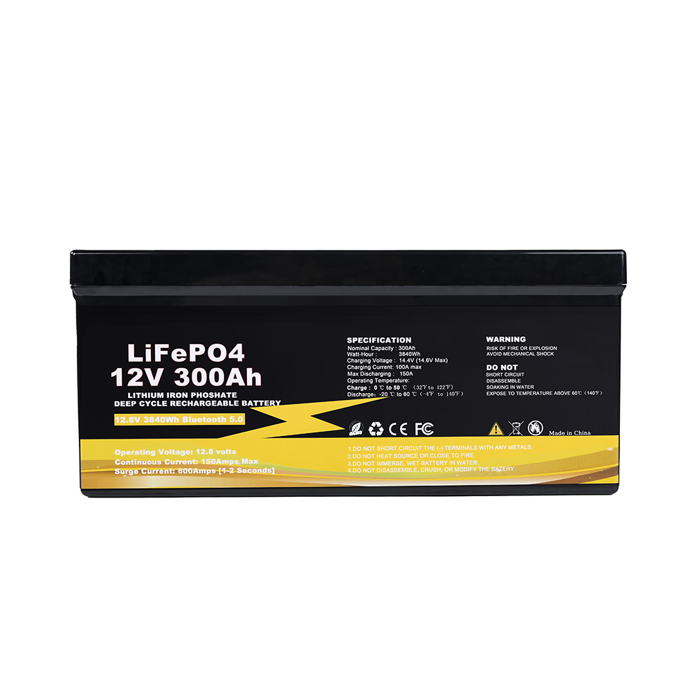 Batteria Lifepo4 12v 100ah
