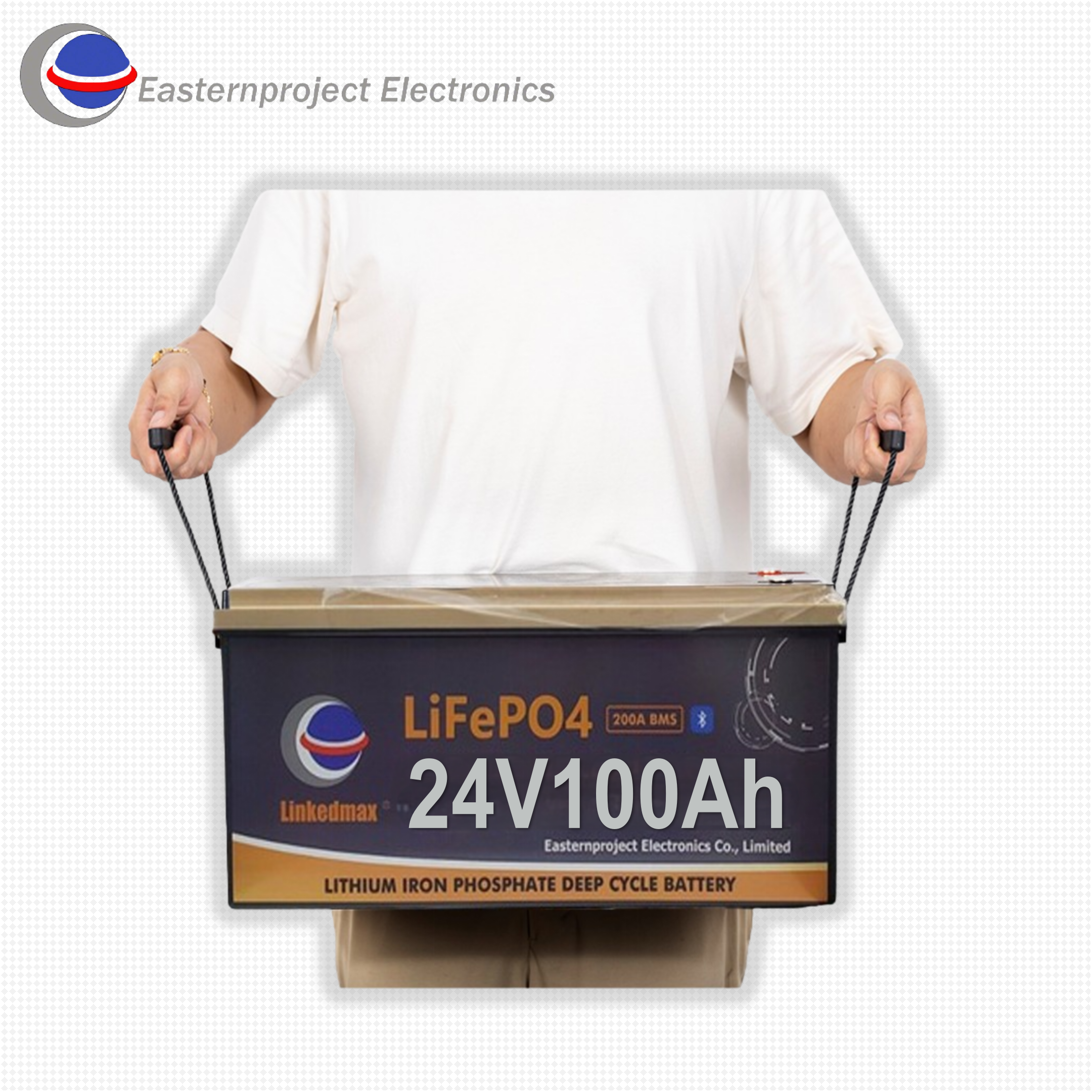 Bateria Lifepo4 24v 100ah